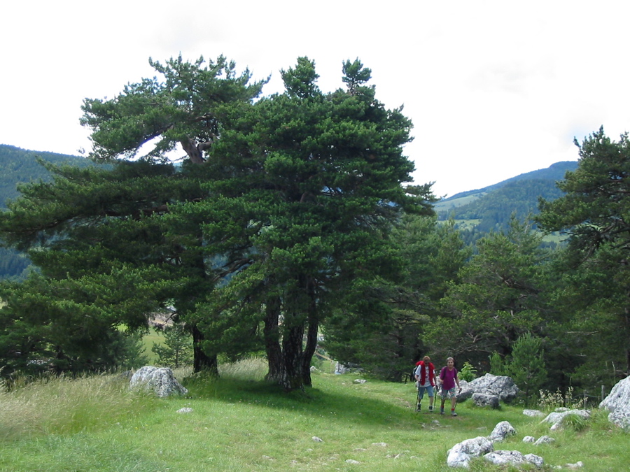 Belle promenade au dessus 
