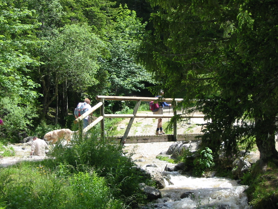 Pont de l'amour