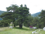 Belle promenade au dessus 