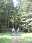 Promenade en forêt