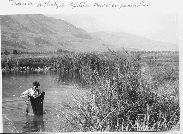 KK 59 02 pisciculture