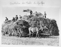 56-60 PL 07 meule cheval