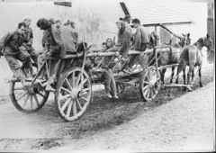 56-60 PL 03 chariot