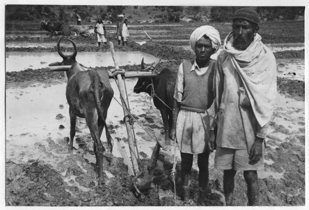 040 Grattage des rivières, MYSORE