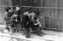 086 Six enfants pour 3 tricycles